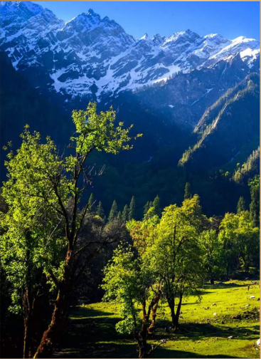 Snowfall in the mountains